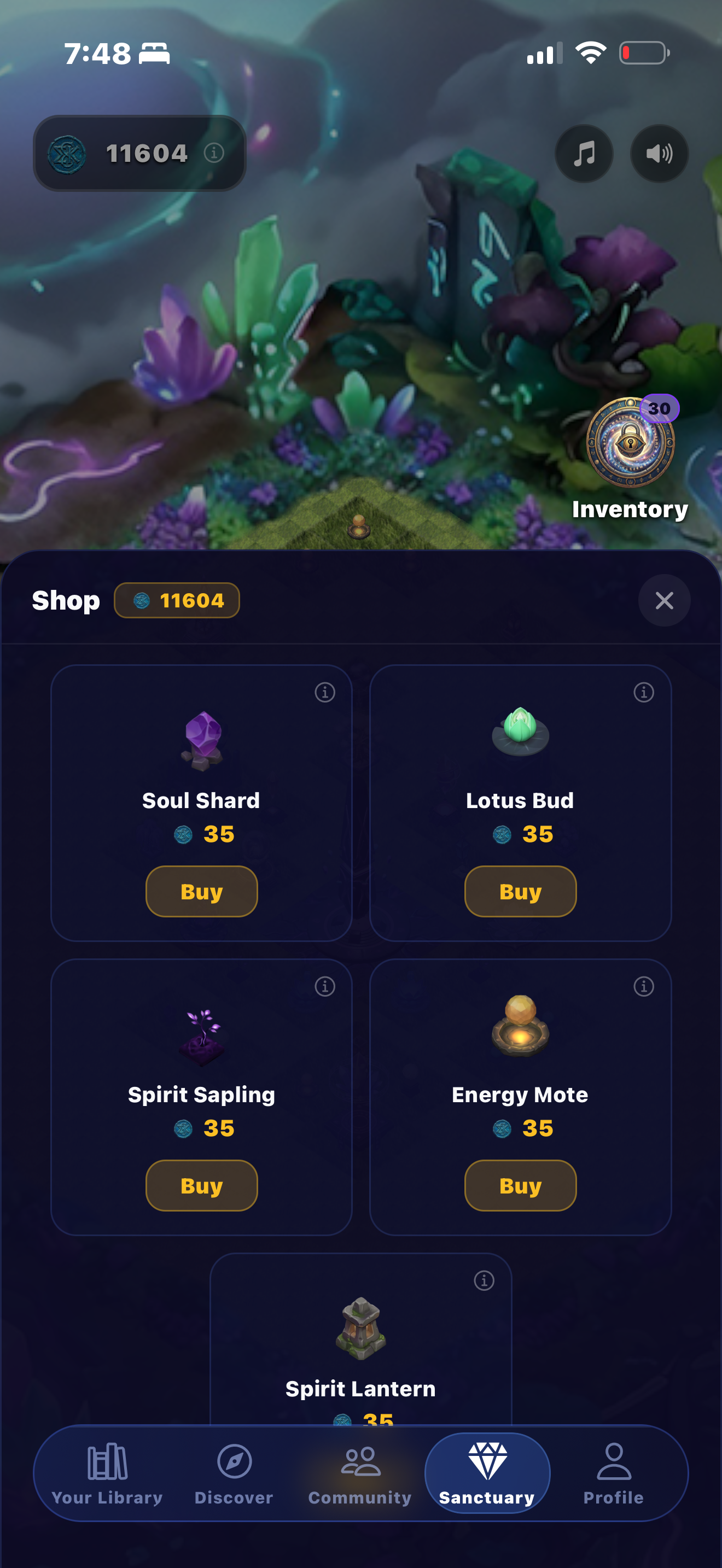 Soul Coins Shop